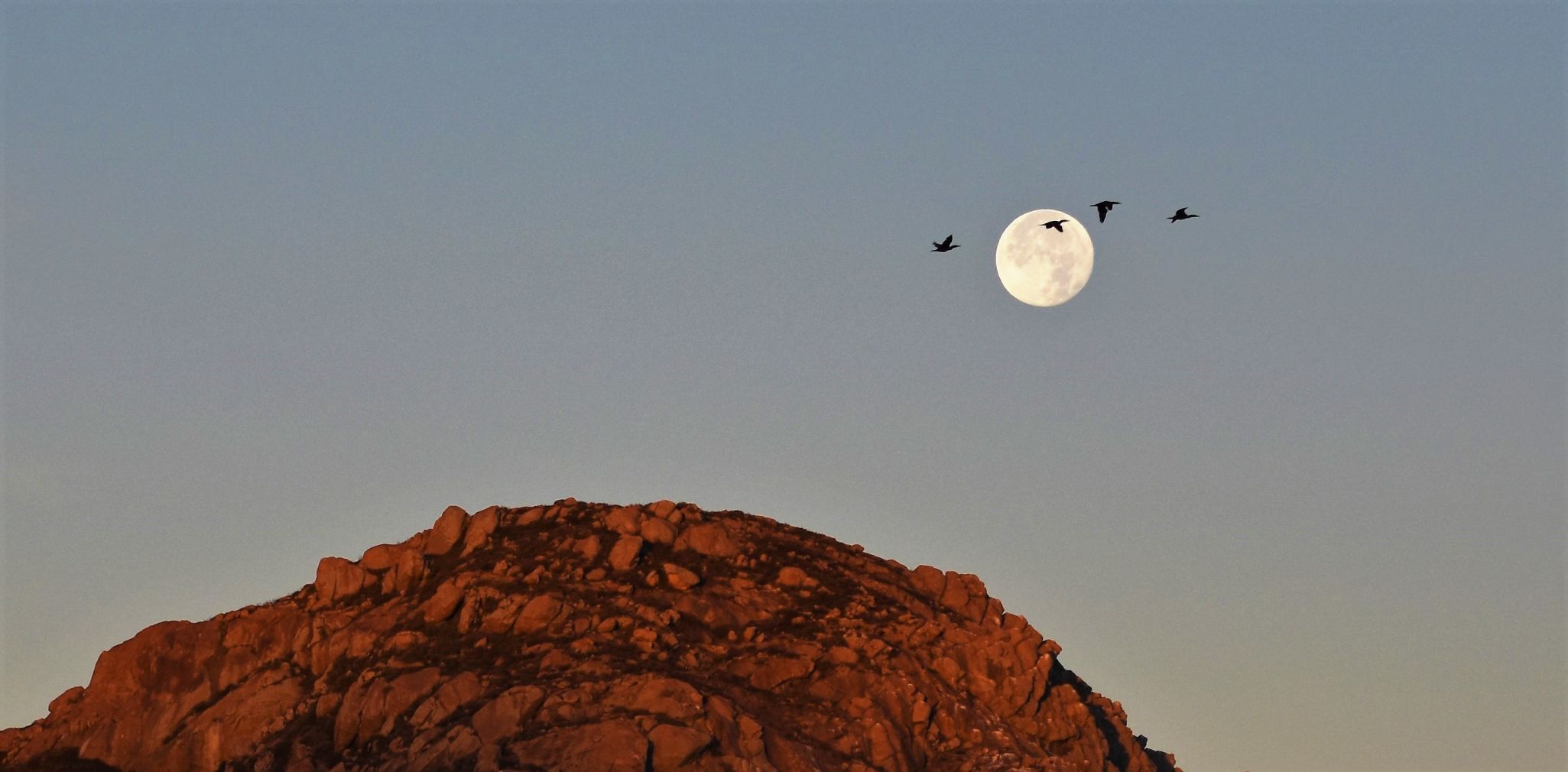 Moon Set .jpg